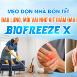 MẸO DỌN NHÀ ĐÓN TẾT KHÔNG ĐAU LƯNG, MỎI VAI NHỜ XỊT GIẢM ĐAU NHANH BIOFREEZE X
