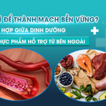 ĂN GÌ ĐỂ THÀNH MẠCH BỀN VỮNG? SỰ KẾT HỢP GIỮA DINH DƯỠNG VÀ THỰC PHẨM HỖ TRỢ TỪ BÊN NGOÀI
