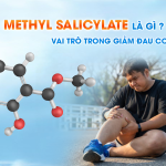METHYL SALICYLATE LÀ GÌ? VAI TRÒ TRONG GIẢM ĐAU CƠ KHỚP