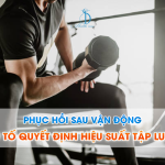 PHỤC HỒI SAU VẬN ĐỘNG: YẾU TỐ QUYẾT ĐỊNH HIỆU SUẤT TẬP LUYỆN
