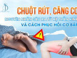 CHUỘT RÚT, CĂNG CƠ NGUYÊN NHÂN SÂU XA TỪ HỆ THẦN KINH VÀ CÁCH PHỤC HỒI CƠ BẮP