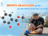 METHYL SALICYLATE LÀ GÌ? VAI TRÒ TRONG GIẢM ĐAU CƠ KHỚP