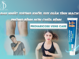 ĐAU NHỨC XƯƠNG KHỚP, SUY GIÃN TĨNH MẠCH - PHÒNG BỆNH HƠN CHỮA BỆNH VỚI PROVARICOSE VEINS CARE
