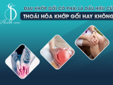 Đau Khớp Gối Có Phải Là Dấu Hiệu Của Thoái Hóa Khớp Gối Hay Không?