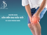 Nguyên Nhân Dẫn Đến Đau Đầu Gối và Cách Phòng Ngừa