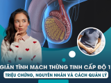 Giãn Tĩnh Mạch Thừng Tinh Độ 1: Triệu Chứng, Nguyên Nhân Và Cách Quản Lý