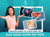 Nguyên Nhân Và Cách Điều Trị Đau Khớp Háng Kịp Thời