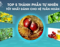 TOP 5 THÀNH PHẦN TỰ NHIÊN TỐT NHẤT DÀNH CHO HỆ TUẦN HOÀN