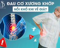Đau cơ xương khớp - Nỗi khổ khi về già - Bạn nên biết?